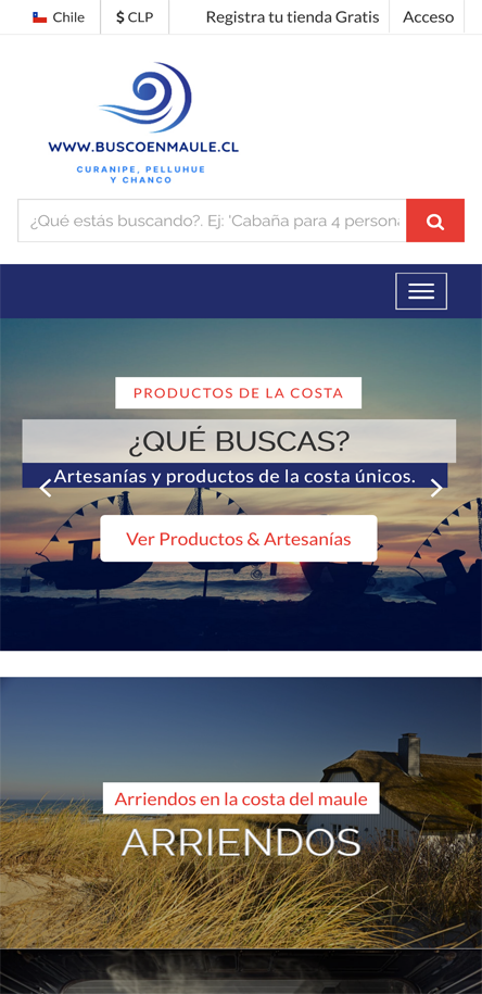 Soluciones informáticas a medida en Chile